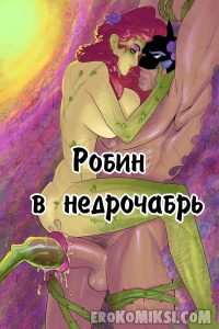 Секс комикс Робин в Недрочабрь.